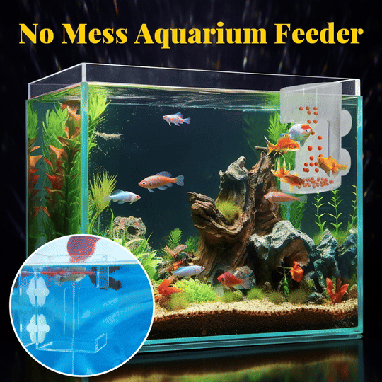 FeedDock – Clear Aquarium Feeding Ring and Tray with Suction Cups
