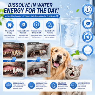 SipSmile – Dental Care Effervescent Tablets for Dogs & Cats