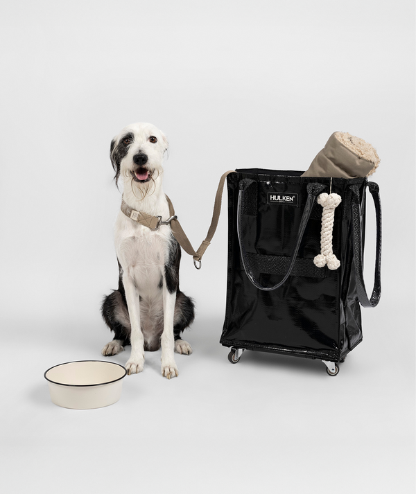 SchleppMate – Rolling Tote Bag with Zip-Top Closure