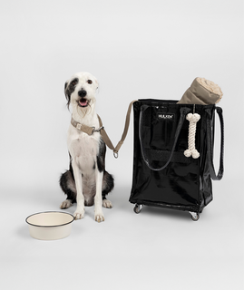 SchleppMate – Rolling Tote Bag with Zip-Top Closure