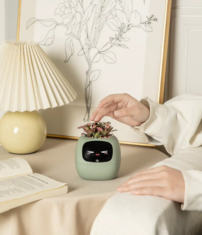 IvyBuddy – Gen 2 Interactive Smart Plant Pet & Relaxing Desk Companion