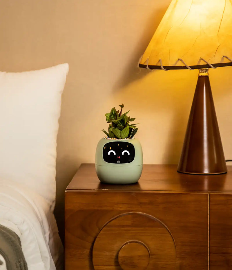 Cute plant-pet Ivy on shelf, expressive face adds personality to home decor. Unique gift for plant lover, relaxation gifts for her.