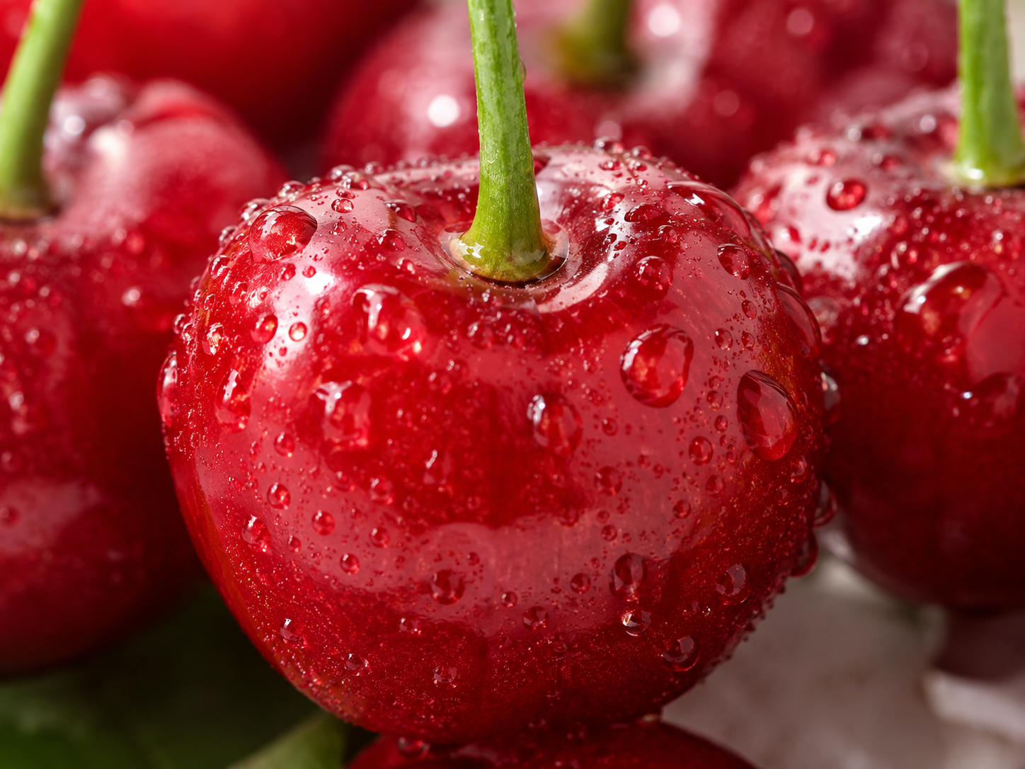 CherryRoots – Grow Your Own Sweet Cherry Tree 🍒 From Seed to Fresh Fruit