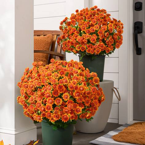 SunsetBloom – 💥🌼 Artificial Outdoor Mums, UV-Resistant, Waterproof & Windproof