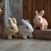 FluffTail – Realistic Bunny Toy