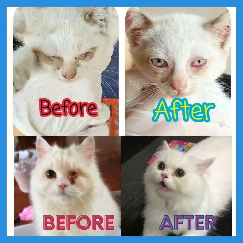 ClearPaws – Pet Eye Care Drops