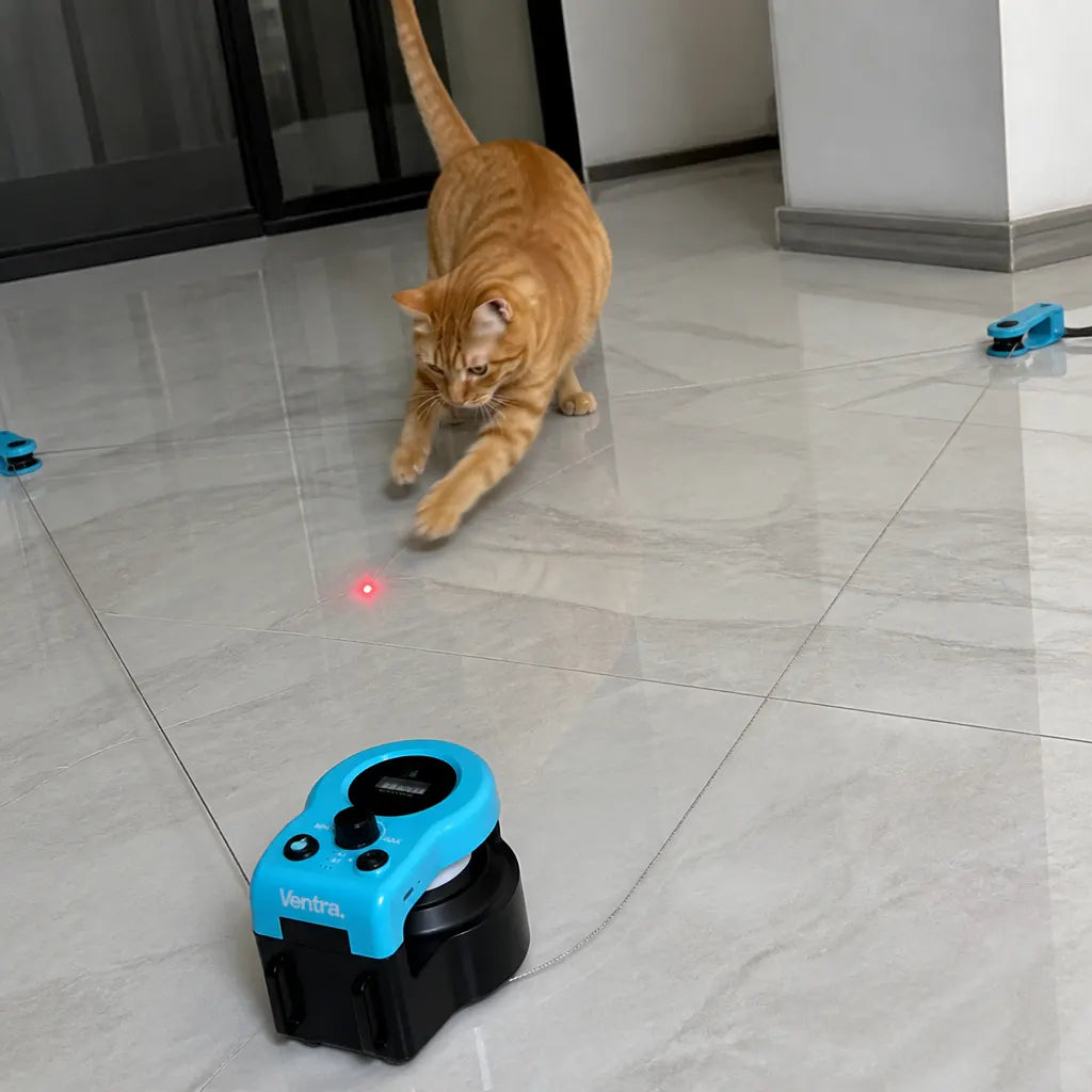 KittyRun – Smart Cat Exercise Wheel