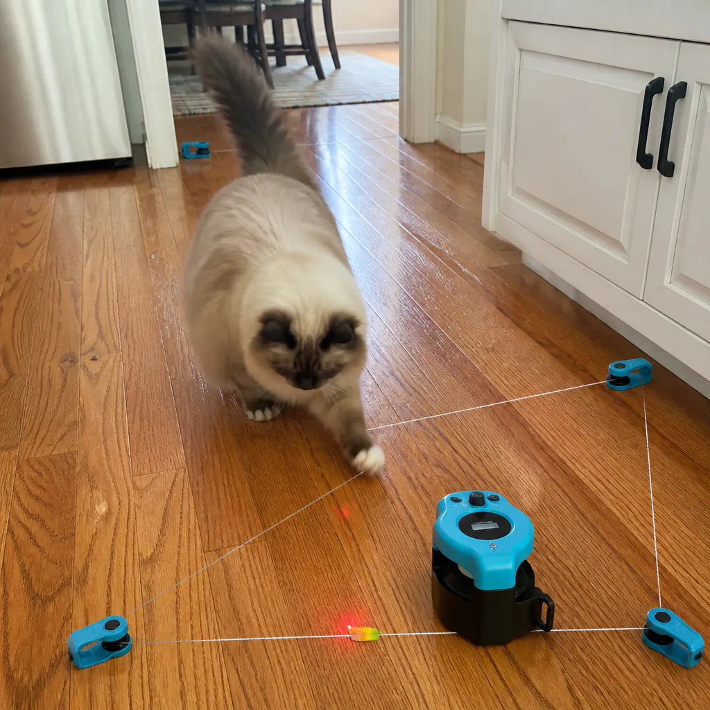 KittyRun – Smart Cat Exercise Wheel