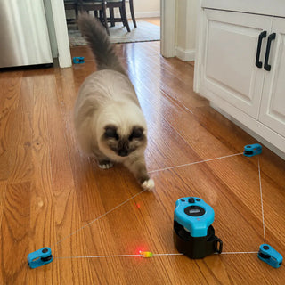 KittyRun – Smart Cat Exercise Wheel