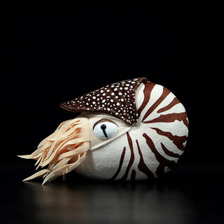 NautiPlush – Soft Nautilus Stuffed Toy