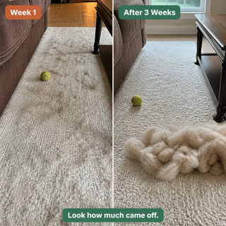 FurRake - Premium Pet Hair Carpet Comb