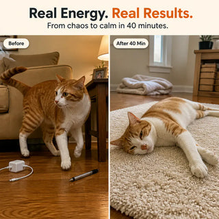KittyRun – Smart Cat Exercise Wheel