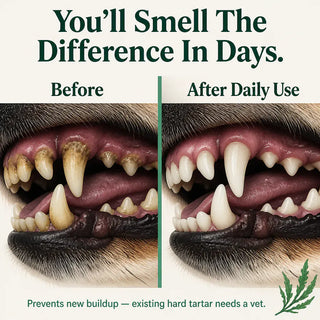 PawFresh – Natural Daily Pet Dental Powder