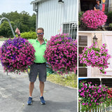 FloraVista  - Vibrant Artificial Hanging Plants Flowers Basket