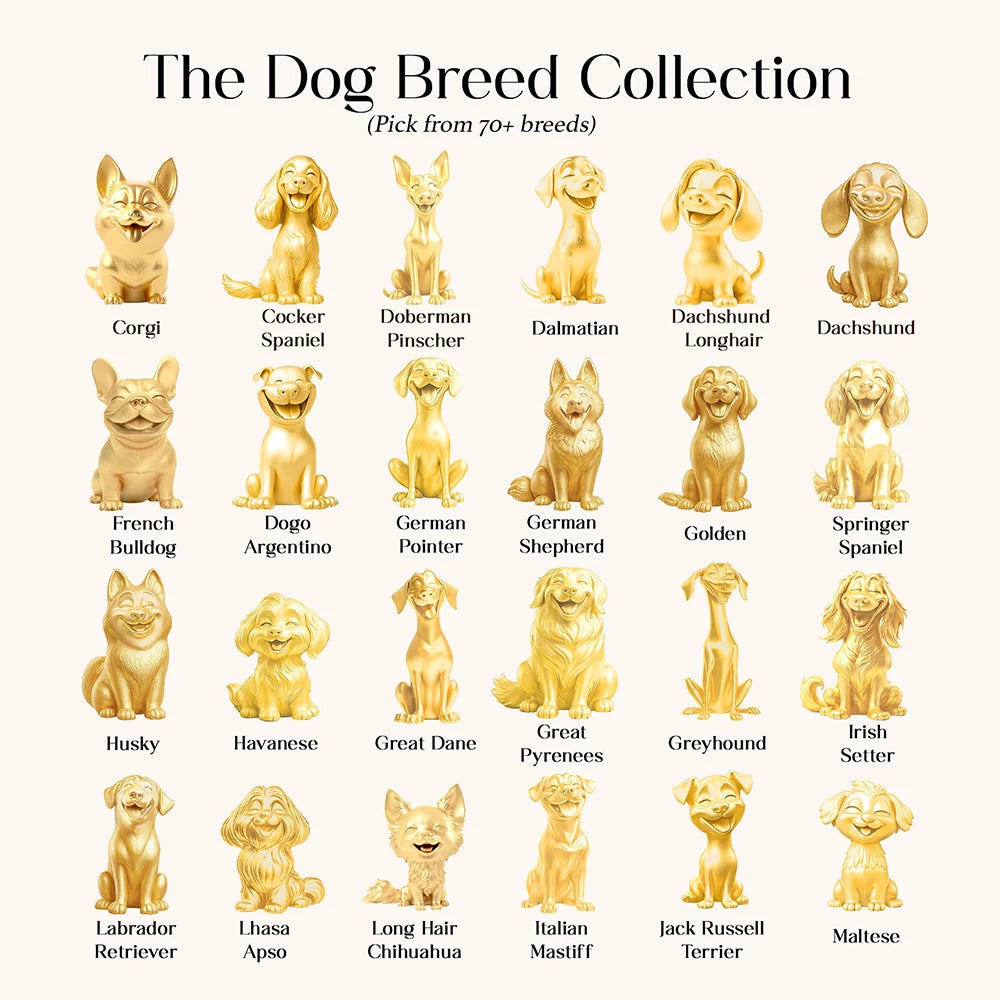 Paw & Heart – Custom Girl With Dogs Necklace