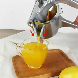 Multifuntional Manual Stainless Steel Juicer marnetic