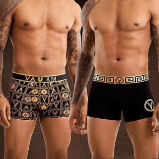 Energex - Men’s Magnetic Therapy Briefs