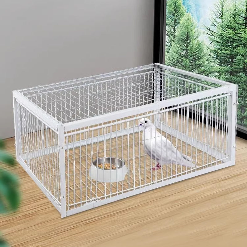 AutoTrap – Smart Self-Closing Bird Cage