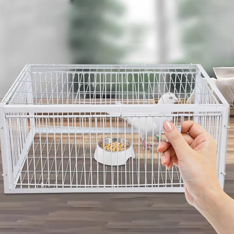 AutoTrap – Smart Self-Closing Bird Cage