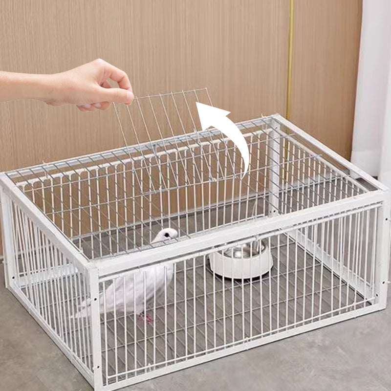 AutoTrap – Smart Self-Closing Bird Cage