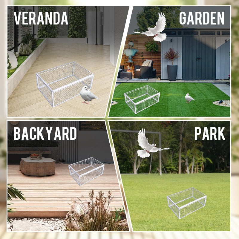 AutoTrap – Smart Self-Closing Bird Cage