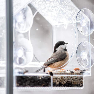 ClearView – Acrylic Window Bird Feeder