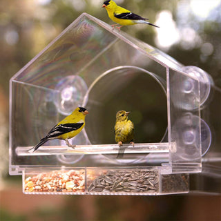 ClearView – Acrylic Window Bird Feeder
