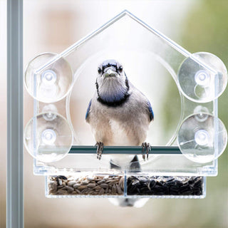 ClearView – Acrylic Window Bird Feeder