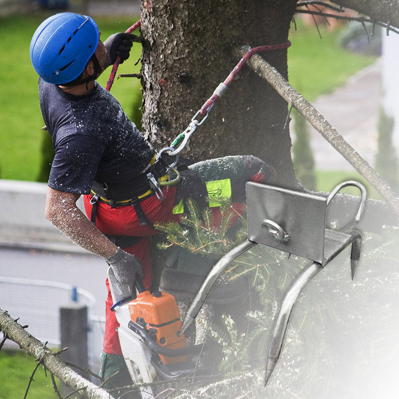 FelineGrip – Outdoor Climbing Claw Shoes