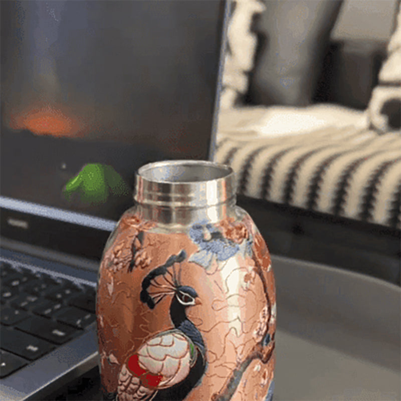 HydroMate – Portable Insulated Bottle