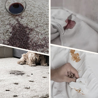 CleanEase – Rapid Dry Carpet Cleaning Spray
