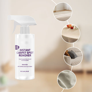 CleanEase – Rapid Dry Carpet Cleaning Spray