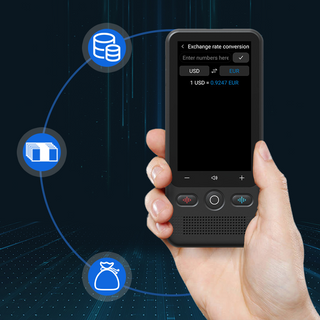 LinguaPro – AI Language Translator Device