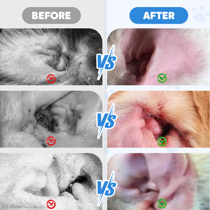 PetFresh – Aloe-Infused Ear Cleaner for Dogs & Cats