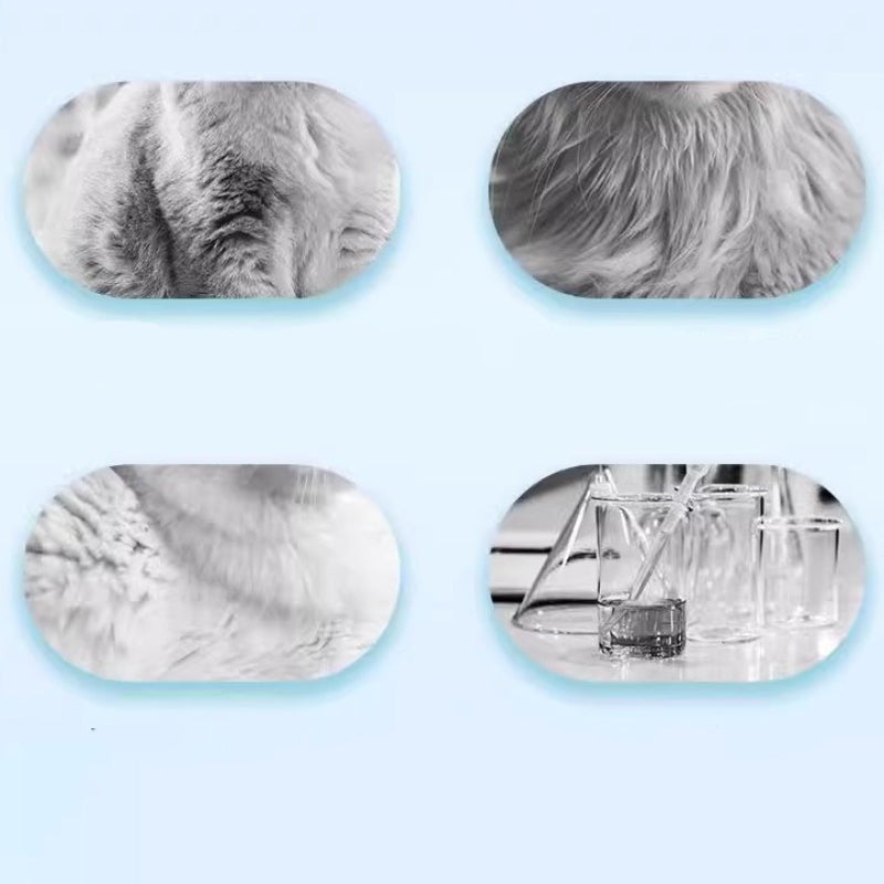 PawFoam – Rinse-Free Pet Shampoo Foam