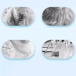 PawFoam – Rinse-Free Pet Shampoo Foam