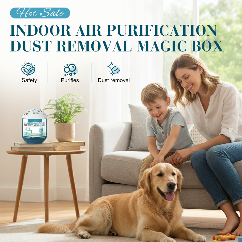 Limited-Time Offer⏰Indoor Air Purification Dust Removal Magic Box🏠