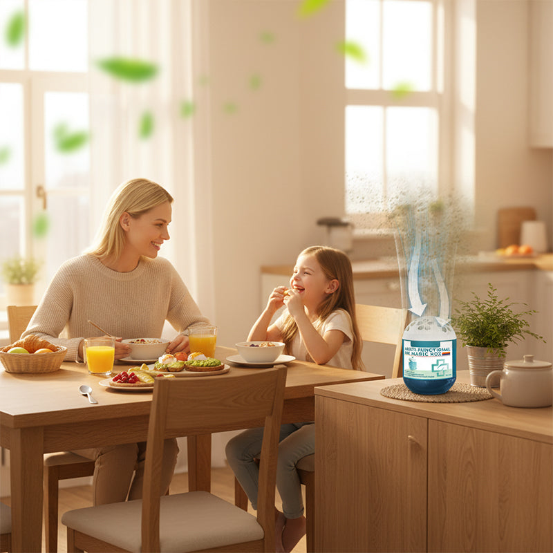 Limited-Time Offer⏰Indoor Air Purification Dust Removal Magic Box🏠
