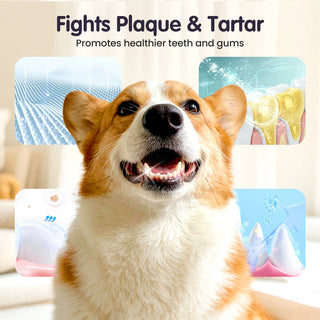 MintyPaws - Easy Spray Oral Cleanser
