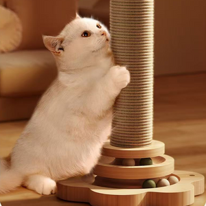 KittyQuest – Multi-Play Scratching Station