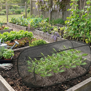 GreenDome | Pop-Up Mesh Plant Shield