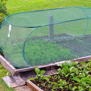 GreenDome | Pop-Up Mesh Plant Shield