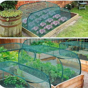 GreenDome | Pop-Up Mesh Plant Shield