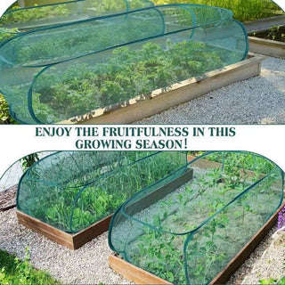 GreenDome | Pop-Up Mesh Plant Shield