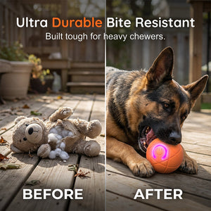 PlayPulse – Auto-Bouncing Smart Pet Ball