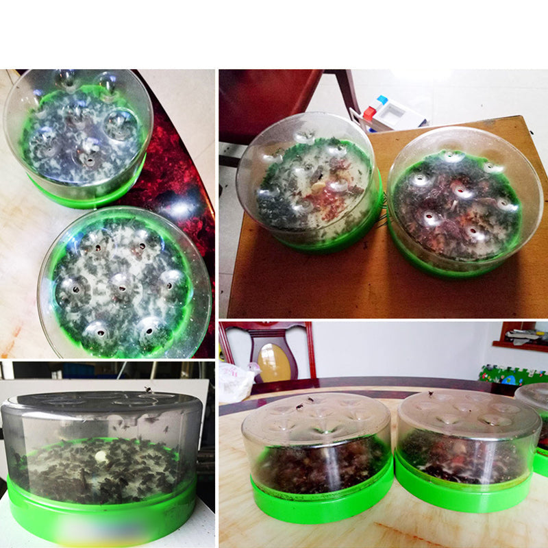 FlyGuard – Reusable Non-Electric Fly Trap
