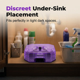 TrapEase – Automatic Reusable Roach Catcher
