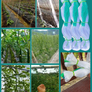 GreenClimb – Durable Garden Climbing Plant Net