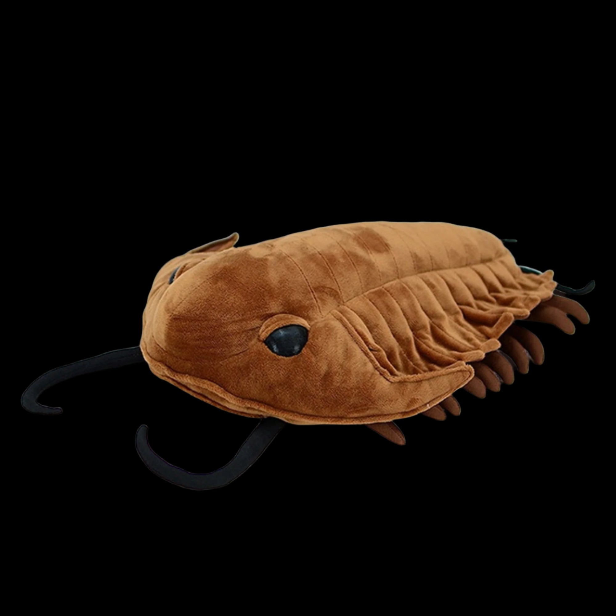 ArthroCuddle – Trilobite Soft Plush