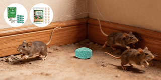 RodentGuard – Ultra Effective Mouse Repellent Balls